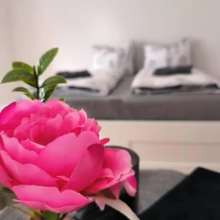 Appartement Bebu-apartment Mit Viel Platz Friedrichshafen