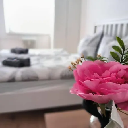 Bebu-apartment Mit Viel Platz *